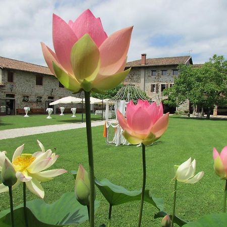 Agriturismo Il Vagabondo Villa Buttrio Exterior photo