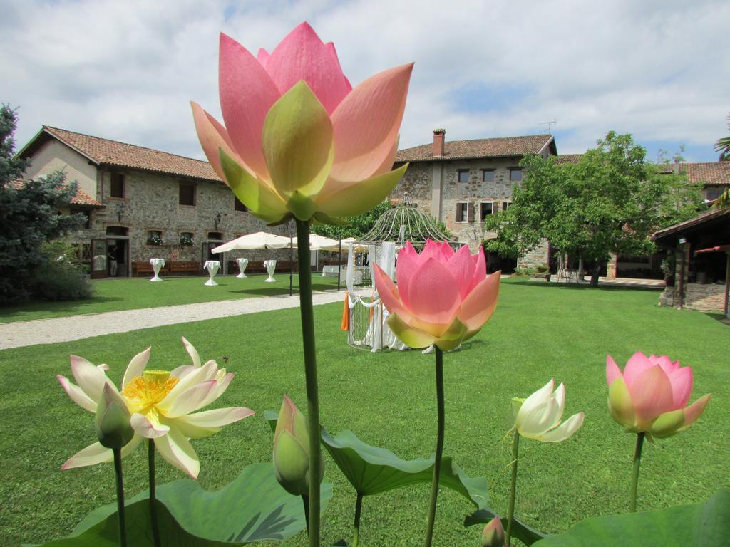 Agriturismo Il Vagabondo Buttrio Exterior photo